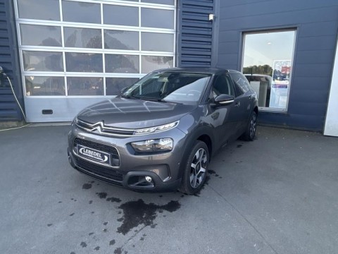 CITROEN C4 Cactus BlueHDi 100ch S&S Shine Business E6.d-TEMP 92g